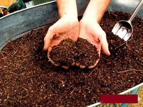 Viveros Horizón Forestal Tierra ácida 45 litros