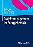 Projektmanagement im Energiebereich by Carsten Lau, André Dechange