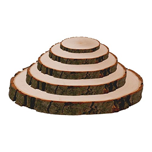 Rundes Rindenbrett in natur geschliffen, Holzbrett, Baumscheibe, Servierbrett verschiedene Größen, Brettgröße:ca. 25 cm Durchmesser - 3