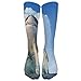 Produktbild KOPPPU Shark Render Sea Fangs Photoshop Athletic Tube Stockings Women's Men's Classics Knee High Socks Sport Long Sock One Size