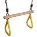 Produktbild Viktion Multifunktions Kinder Sport Ringe Gym Rings Trapeze Schaukel mit Kunststoff-Ringe