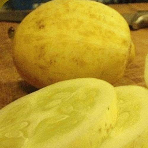 Preisvergleich Produktbild seedsown 1 / 4 Lb Zitrone Gurke-Samen