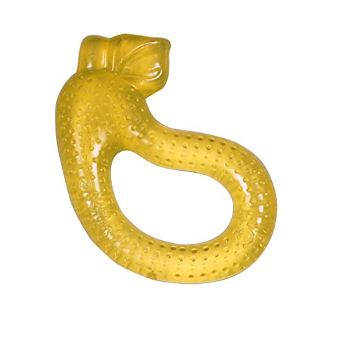 Preisvergleich Produktbild Grüne Sprösslinge, kühle Veggie Beißring, Squash, 1 Beißring - iPlay Inc.