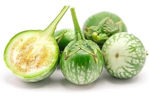 SEELANS SUPERSTORE seelans Thai Brinjal| 1KG | Thai EggPlant | 100% Fresh vegetable Next Day Shipping