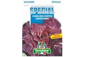 L'ORTOLANO Sementi di ortaggi ibride e selezioni speciali ad uso amatoriale in buste termosaldate (80 varietà) (CICORIA ROSSA DI VERONA SEL. GORIZIANA)