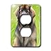 Price comparison product image 3dRose LLC LSP_4500_6 Leonberger, 2 Plug Outlet Cover