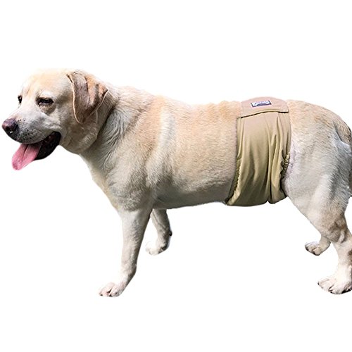 Preisvergleich Produktbild Doglemi WiseGood Hunde-Windeln für Männer, bequem, wasserdicht, für Männer, Hund