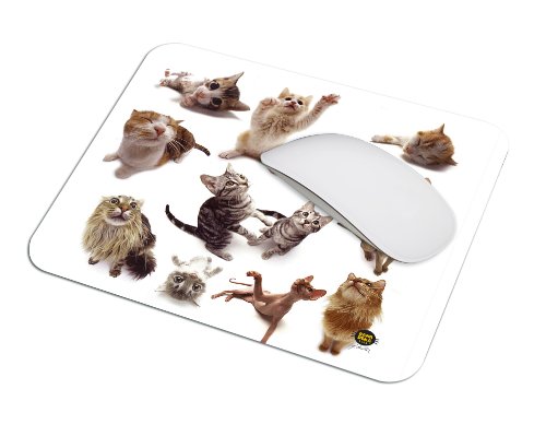 Allsop 06915 Cat Group Mouspad (mit Katzen-Motiv) für verbesserte Maussteuerung - 2