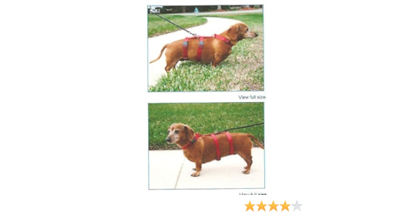 dachshund harness amazon