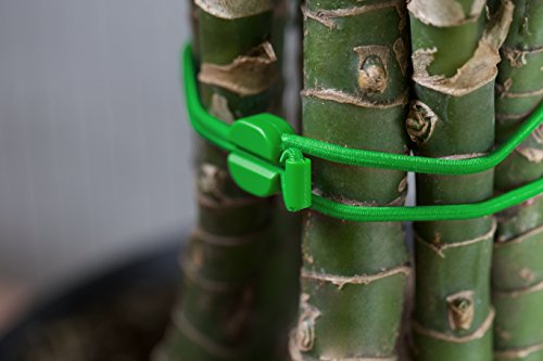 Bluelounge 107655 Pixi (6er Pack) mittel - 2