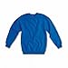 SG Mens Raglan Sleeve Crew Neck Sweatshirt (2XL) (Royal)