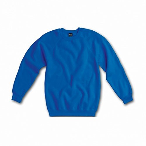 SG Mens Raglan Sleeve Crew Neck Sweatshirt (2XL) (Royal)