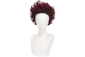 ZGNGLIZ Anime Cosplay Perücke für Demon Slayer: Kimetsu no Yaiba Characters Spielen Sie Kanroji Mitsuri Cosplay Perücken mit Free Wig Cap (Kamado Tanjirou)