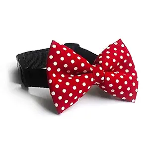 That Dog In Tuxedo 'Betty Boop' Dog Bow Tie and Sturdy Adjustable Dog Collar (Red, Size - S)