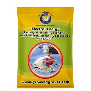 Growel Electrolyte with Minerals & Vitamins for Instant Energy- 500 Gm