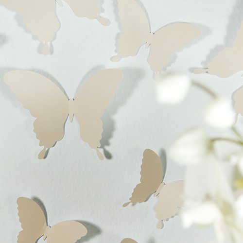 Wandkings 3D Schmetterlinge in BEIGE, 12 STÜCK im Set mit Klebepunkten - 2