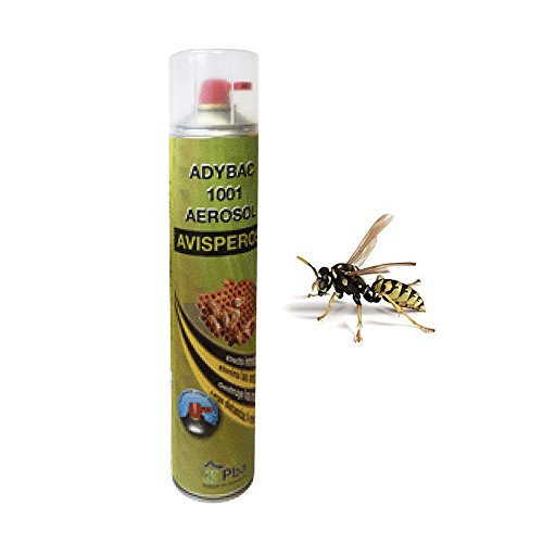Preisvergleich Produktbild NEUTROLSAN Aerosol Auto Aerosol 100 ml manuell