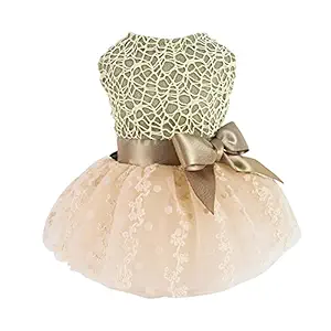 Fitwarm Shining Embroiderd Dog Dress Doggie Tutu Flower Girl One-Piece with Bowknot Pet Clothes for Wedding Birthday Party Doggy Gown Puppy Outfits Cat Apparel Champagne Small