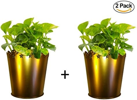 2 Pack of Attractive Copper Planter With Stars 12 cm x 9.5 cm - Aywav®