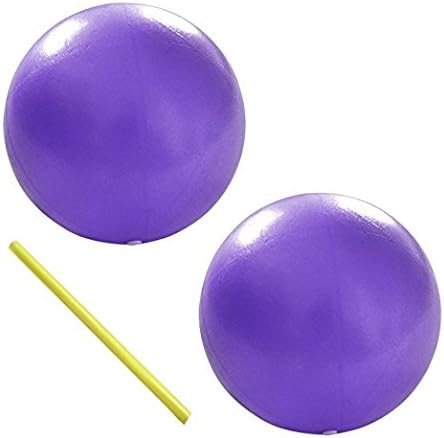 eBerry Exercise Pilates Ball - 2 PCS Small Pilates Ball for Yoga, Barre, Training and Physical Therapy - Improves Balance, Core Strength, Back Pain &amp; Posture with Straw (Purple)