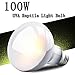 Produktbild KOBWA UVA Reptile Light Glühbirne, UVA Reptile Tortoise Heizung Lampe Full Spectrum Wärme Leuchtmittel für Reptile Anwendung (25 W/50 W W/75 W/100 W), 100 W