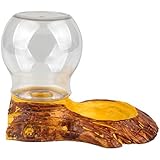 SENZEAL Reptile Wasser Spender Schildkröte Schildkröte Futter Pet Wasser Schüssel, gelb