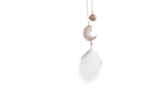 ikasus Accessoire de décoration pour Voiture,Petit Pendentif en métal en Forme détoile Creuse, de Lune et de Plume pour Voiture,Accessoire de décoration pour Voiture,avec Plumes Creuses