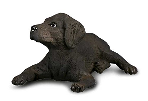 brainstorm RSPCA Black Labrador Retriever Puppy