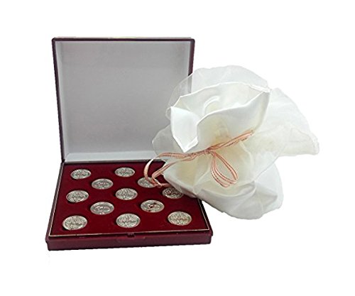 DOCOLASTRA, S.L.U. Arras DE LA Vida en Color Plata Brillante con Estuche y limosnera de satén en Blanco Roto, Incluido, para Todos los Enlaces.