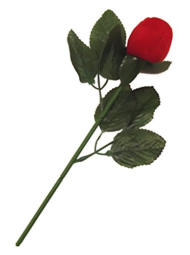 "Lass Blumen sprechen" - Rose als Ringdose, perfekt für Ihren Antrag