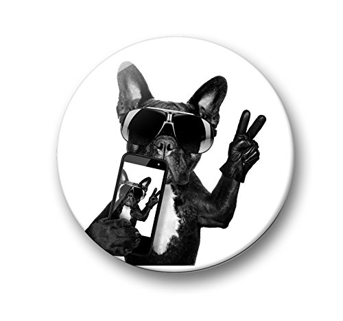 Französische Bulldogge Porträt – 6 große Kühlschrankmagnete Ø 5 cm [ 04 ] - 6