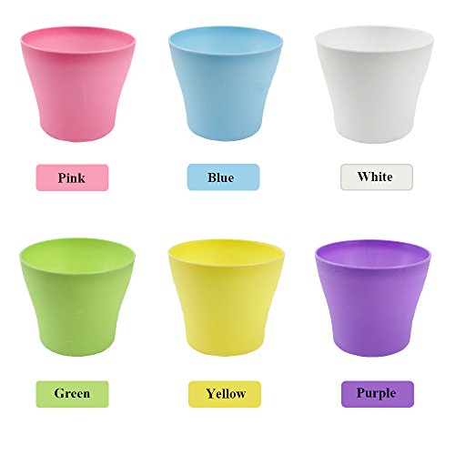 Whonline 6 Stück bunte Runde Blumentopt Pflanzkübel mit Untersetzer, 80g 4-7mm Weißer Pflasterstein, 1 Set Schaufel, 1 Verpflanzen Wergzeug - 3