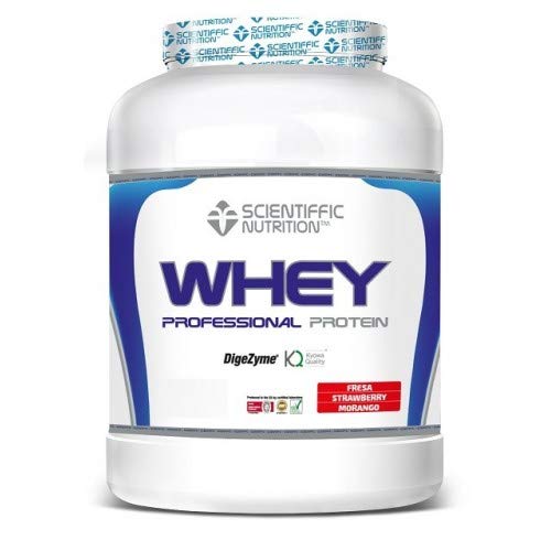 Preisvergleich Produktbild SCIENTIFFIC NUTRITION Professional Whey Protein 908 GRS TU Schokoladenbraun