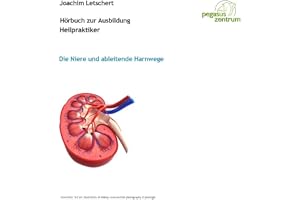 Hörbuch zur Ausbildung für Heilpraktiker: Die Niere und ableitende Harnwege