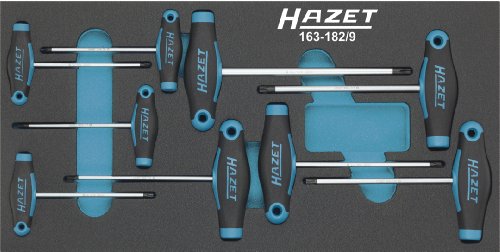 Preisvergleich Produktbild HAZET 163-182 / 9 Torx-Schraubendreher-Satz