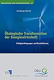 Ökologische Transformation der Energiewirtschaft: Erfolgsbedingungen und Restriktionen (Initiativen zum Umweltschutz, Band 65) by