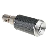 Segolike Replacement 51mm Exhaust Muffler Silencer 300mm Pipe with Silver Head for Motorcycle Scooter RS.5440 (56.00% Off) - Amazon