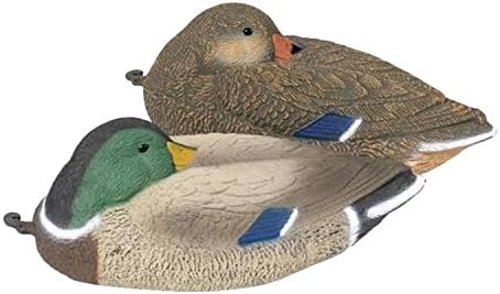 Fritzmann, sitting duck, sleeping, plastic duck, decoy, bait hunting, 40 cm long, duck, standard size