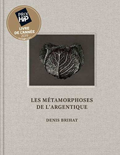 Télécharger Les métamorphoses de l'argentique : Denis Brihat Livre PDF Gratuit