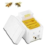 2. Excelentes propiedades de aislamiento térmico: 3,5 veces que los materiales de madera, asegúrate de que los apicultores sigan criando abeja reina de alta calidad a principios de primavera, verano caliente y otoño