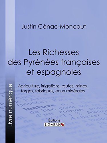 Les Richesses des Pyrénées françaises et espagnoles: Ce qu'elles furent, ce qu'elles sont, ce qu'elles peuvent être - Agriculture, irrigations, routes, mines, forges, fabriques, eaux minérales gratuit Les Richesses des Pyrénées françaises et espagnoles: Ce qu'elles furent, ce qu'elles sont, ce qu'elles peuvent être - Agriculture, irrigations, routes, mines, forges, fabriques, eaux minérales gratuit