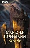 Cover zum Buch Nebelriss: Zeitalter der Wandlung 01