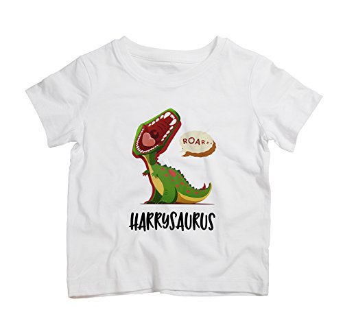 C S PRINTING LIMITED Personalised Kids Name Dinosaur T Rex T Shirt 100% Cotton Perfect Present Gift for Birthday, Christmas (3-4 Years Old)