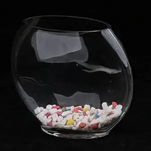 Meri SHOPP Flat Mouth Clear Mini Desktop Glass Fish Tank Aquarium Bowl Decoration 1