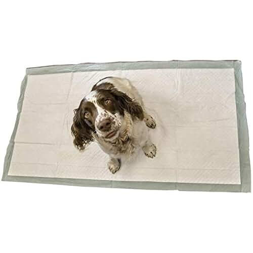 Amazon.co.uk incontinence pads for dogs