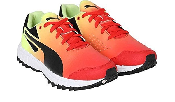 puma evospeed one8 r