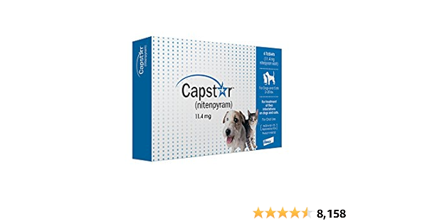 capstar for cats small