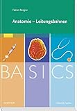 Image de BASICS Anatomie - Leitungsbahnen