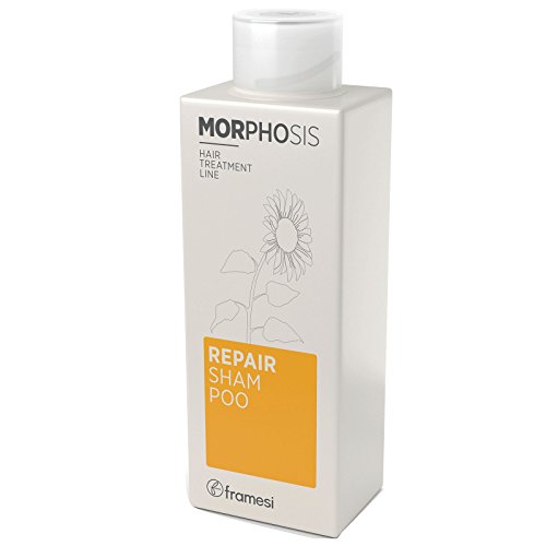 Morphosis Repair Shampoo 250ml