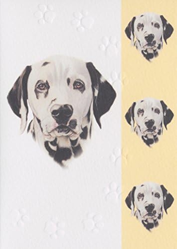 Dalmatian Dog BLANK Greeting Card Birthday Get Well Thank you etc ( gc188 )